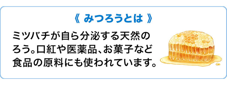 《みつろうとは》 ミツバチが自ら分泌する天然のろう。口紅や医薬品、お菓子など食品の原料にも使われています。