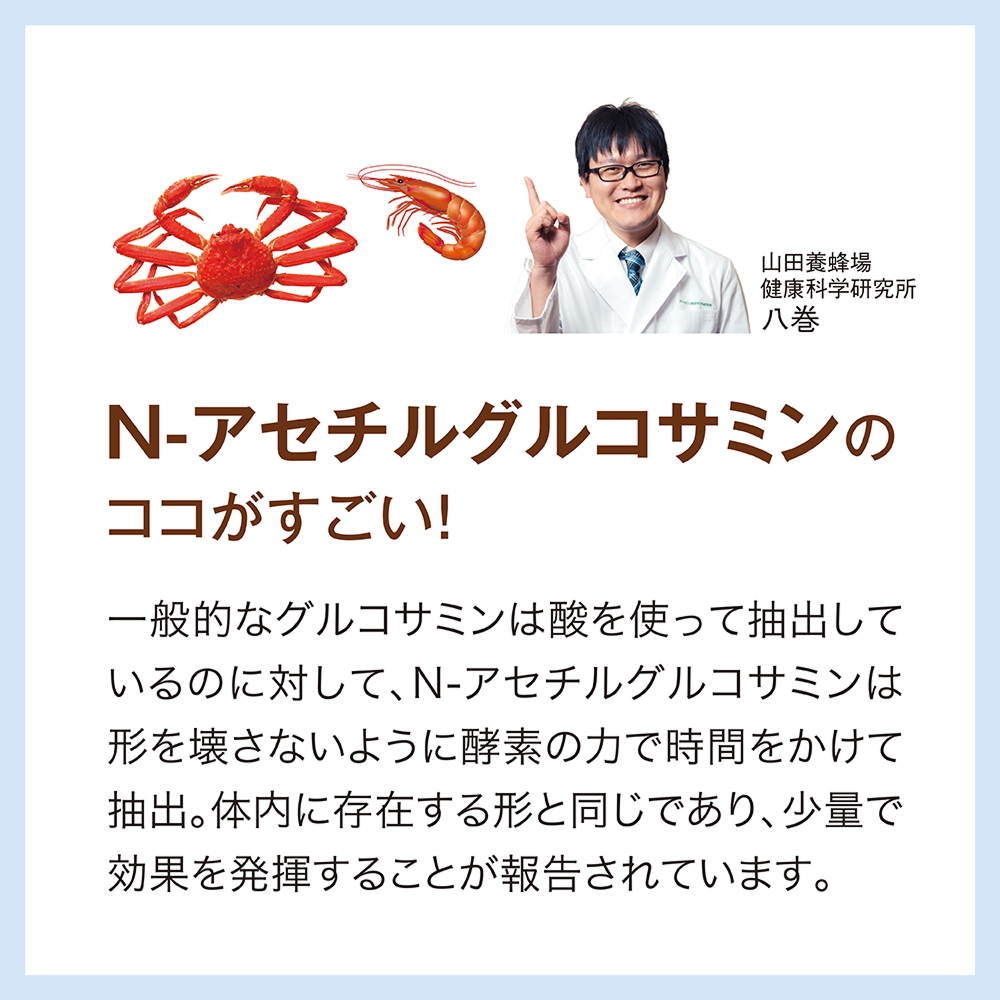 N-AZ`ORT~̃RR! ʓIȃORT~͎_gĒoĂ̂ɑ΂āAN-AZ`ORT~͌`󂳂Ȃ悤ɍyf̗͂ŎԂĒoB̓ɑ݂`ƓłAʂŌʂ𔭊邱Ƃ񍐂Ă܂B