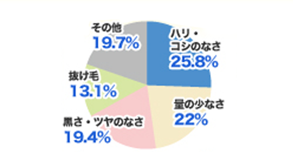 円グラフ：ハリ・コシのなさ 25.8%、量の少なさ 22%、黒さ・ツヤのなさ 19.4%、抜け毛 13.1%、その他 19.7%