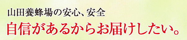 Rc{ÏSAS M邩炨͂B