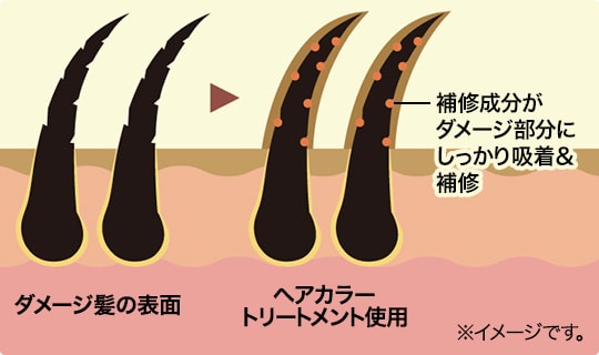 ヘアカラートリートメント 化粧品の通販 山田養蜂場 公式