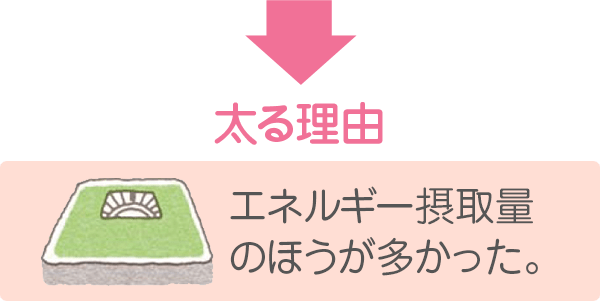 闝RFGlM[ێʂ̂قB