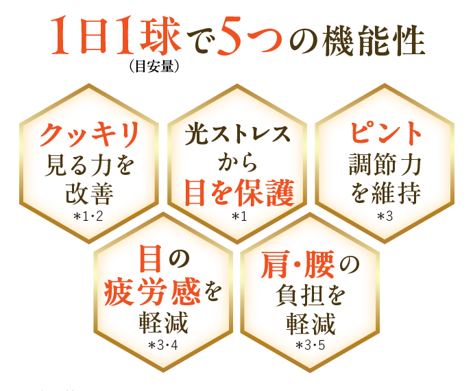 1日1球で5つの機能性