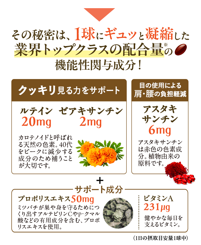 その秘密は、1球にギュッと凝縮した業界トップクラスの配合量の機能性関与成分!