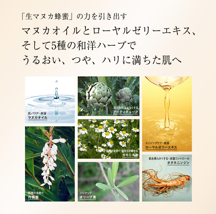 「生マヌカ蜂蜜」の力を引き出す マヌカオイルとローヤルゼリーエキス、そして5種の和洋ハーブでうるおい、つや、ハリに満ちた肌へ 肌バリア・保湿:マヌカオイル 毛穴を目立たなくする:アーティチョーク エイジングケア・保湿:ローヤルゼリーエキス 肌荒れを防ぐ:月桃葉 肌荒れを防ぐ・肌を引き締める:カモミール ハリアップ:オリーブ葉 肌を柔らかくする・皮脂コントロール:オタネニンジン