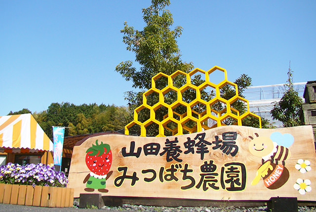 みつばちライブカメラ | 山田養蜂場