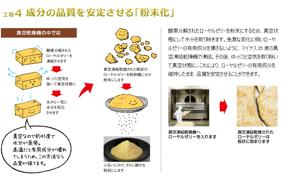 「酵素分解ローヤルゼリー キング」ができるまで｜山田養蜂場｜健康食品、化粧品、はちみつ・自然食品の山田養蜂場【公式】