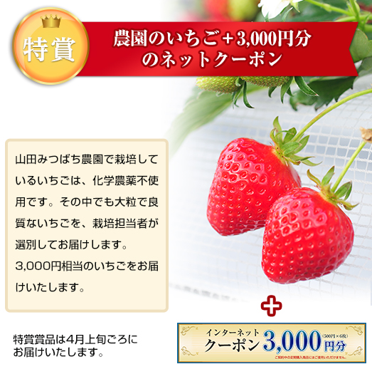 果物 mitubachi ミツバチの日キャンペーン | 山田養蜂場