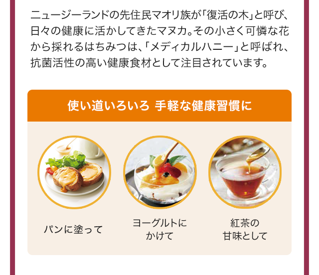 70以上 はちみつ 使い道 古い 蜂蜜 使い道 70以上 はちみつ 使い道 古い 蜂蜜 使い道