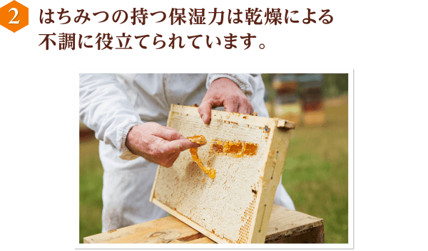 マヌカ蜂蜜 クリームタイプ 山田養蜂場