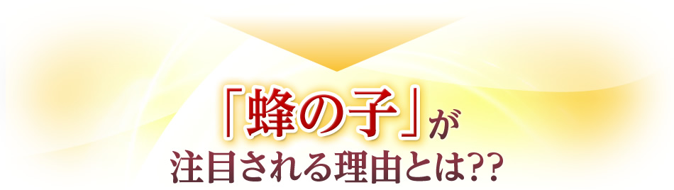 「蜂の子」が注目される理由とは??
