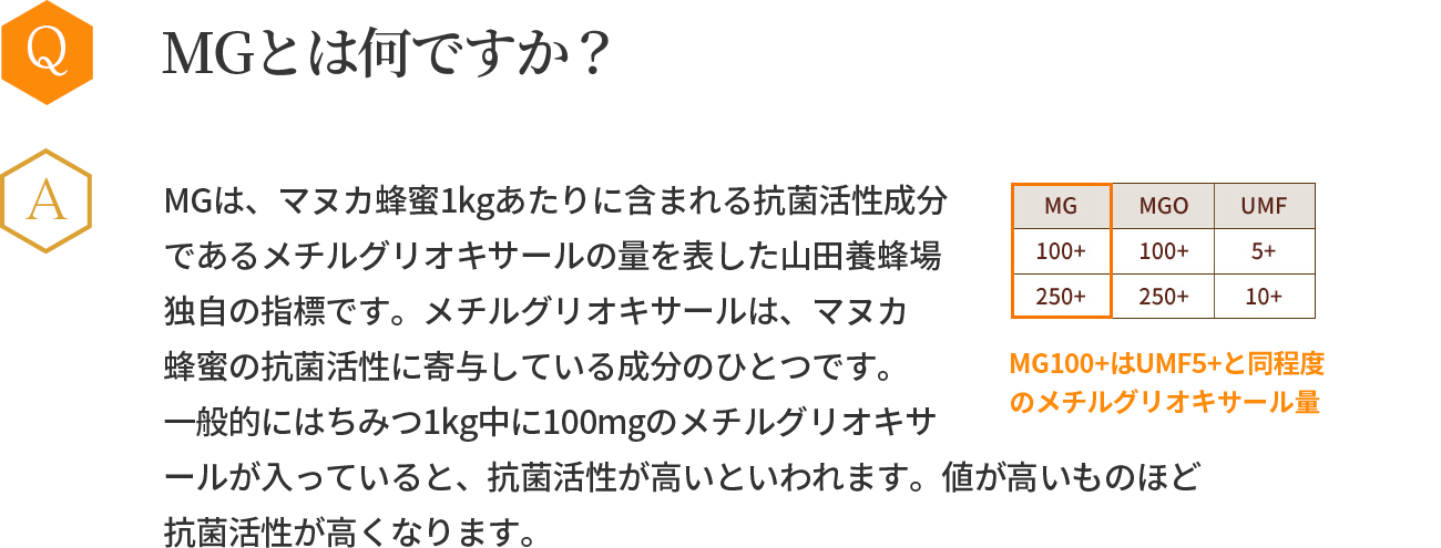 MG�Ƃ͉��ł����H