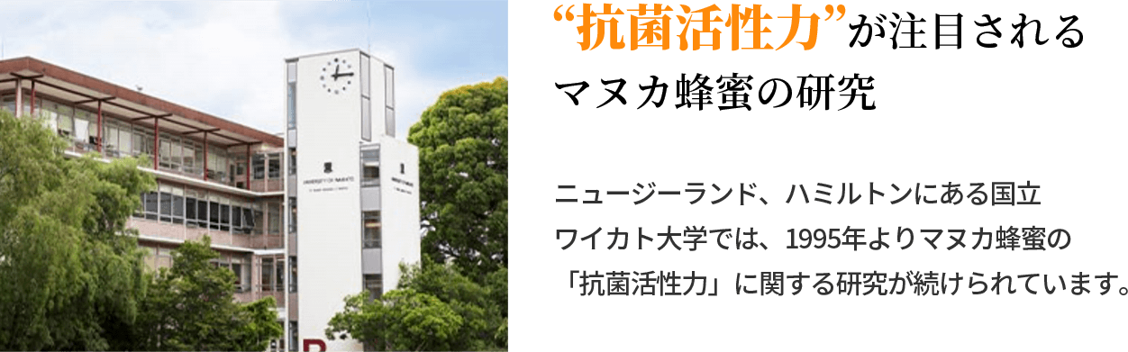 �g�R�ۊ����́h�����ڂ����}�k�J�I���̌���