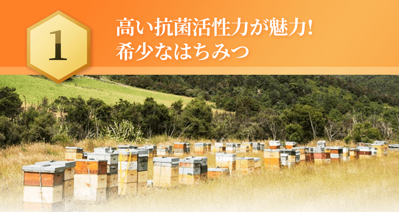 �����R�ۊ����͂�����!�󏭂ȖI��