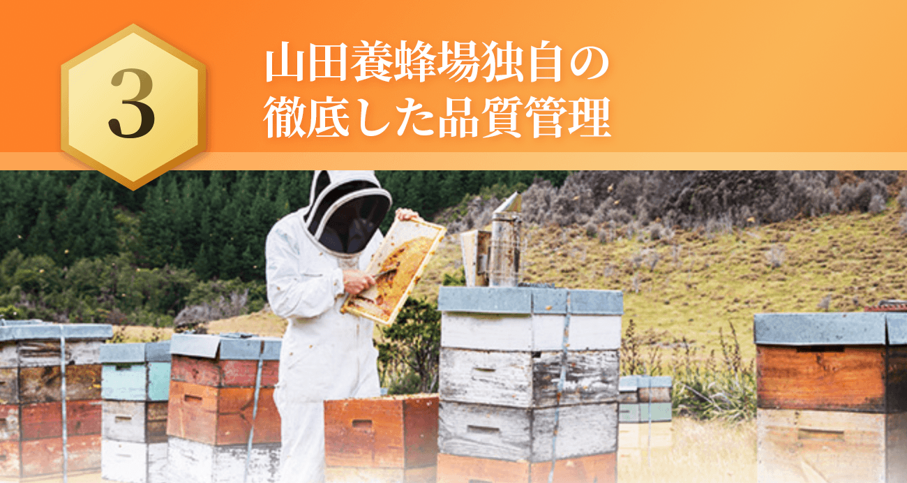 �R�c�{�I��Ǝ��̓O�ꂵ���i���Ǘ�!