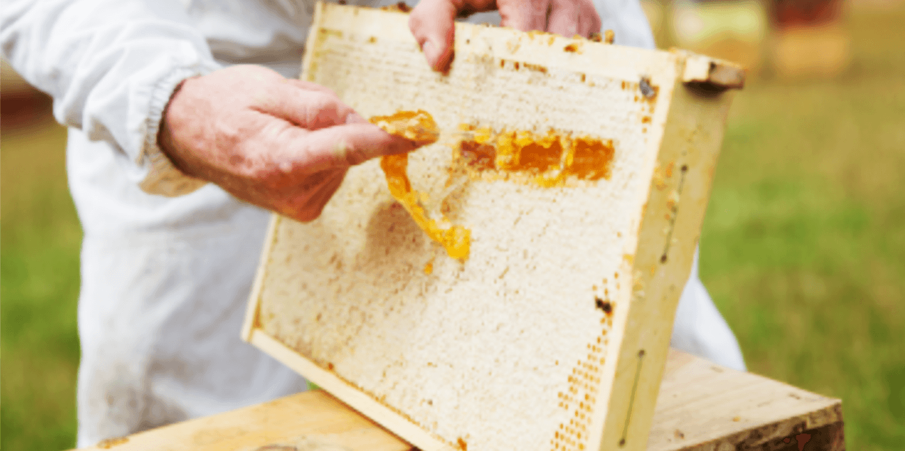 �}�k�J�I���̃p���[