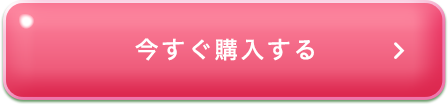 今すぐ購入する