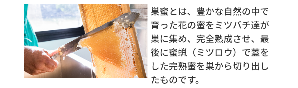 Ƃ́ALȎR̒ňԂ̖~co`BɏW߁ASnAŌɖXi~cEjŊWn𑃂؂ôłB