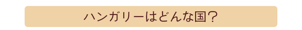 nK[͂ǂȍH