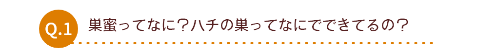 Q.1 ĂȂɁH`̑ĂȂɂłłẮH