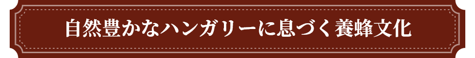 RLȃnK[ɑÂ{I